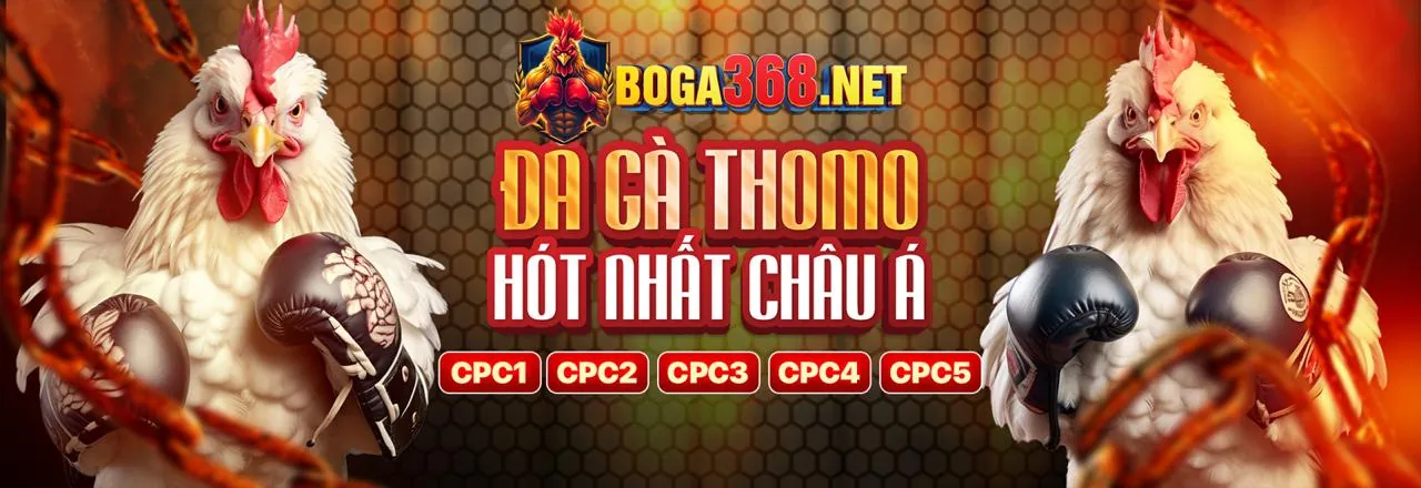 Chương trình VIP độc quyền tại qh77.com và qh88.com